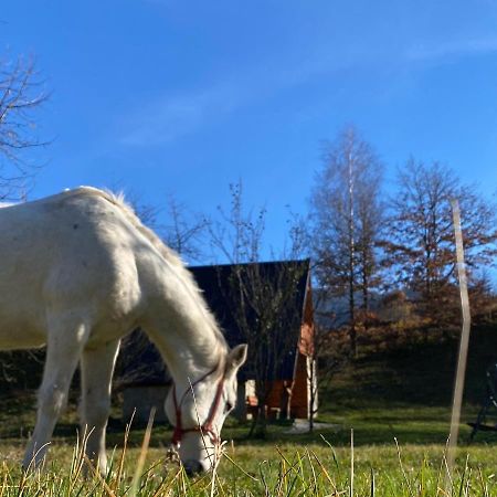 Eco Kutak Villa Mojkovac Exterior foto