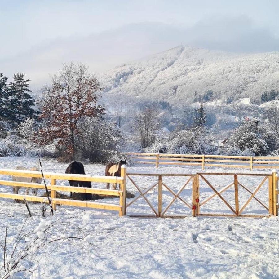 Eco Kutak Villa Mojkovac Exterior foto